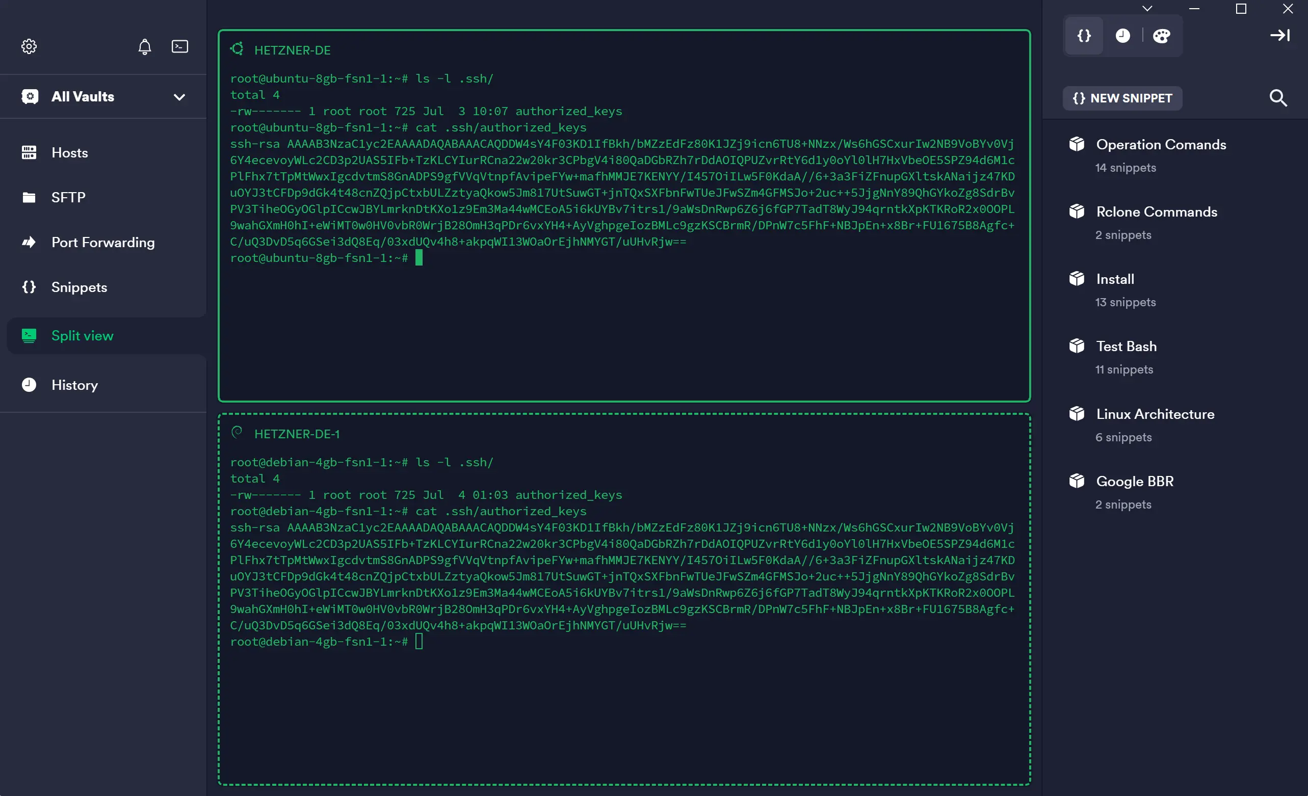 伺服器SSH密钥示例（由Termius创建）